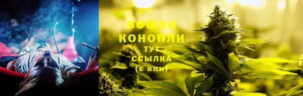 гидра Пролетарск
