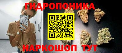 MESCALINE Малгобек